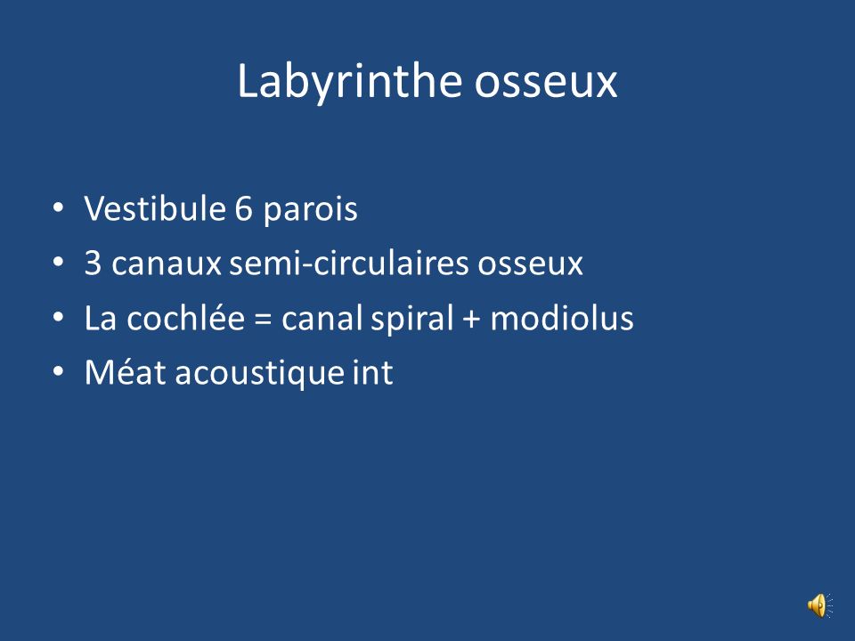 Labyrinthe osseux Vestibule 6 parois 3 canaux semi-circulaires osseux