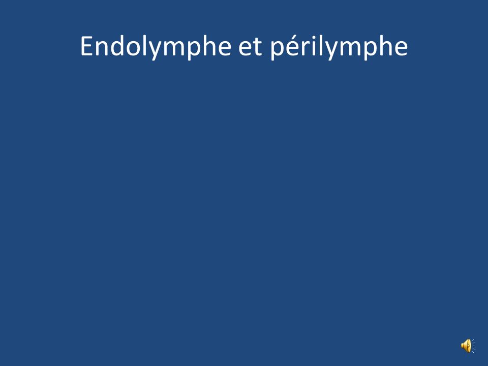 Endolymphe et périlymphe