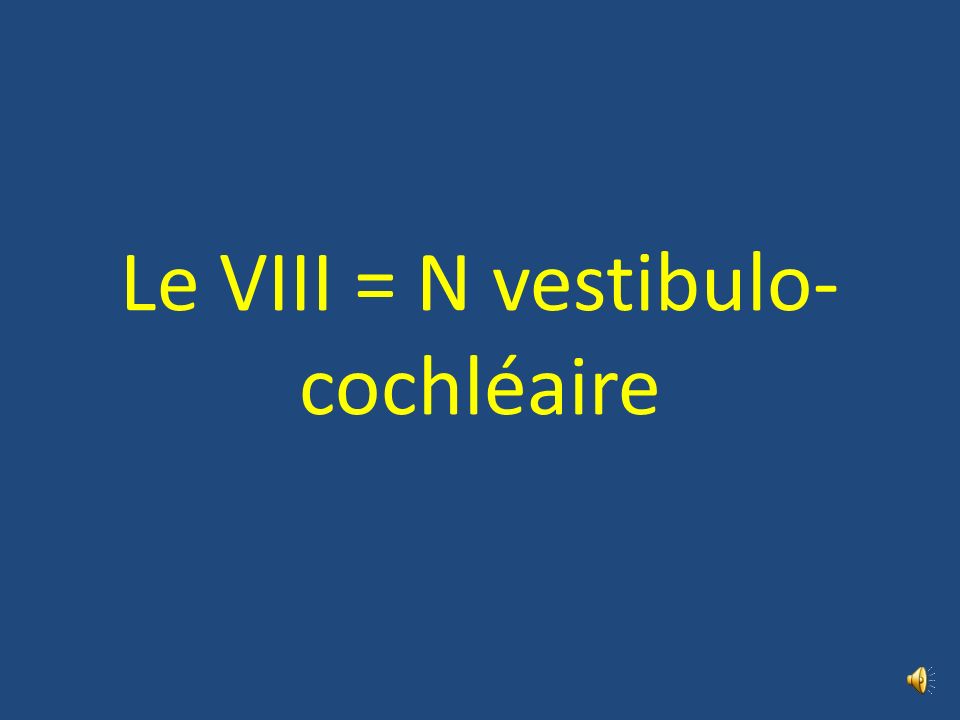 Le VIII = N vestibulo-cochléaire