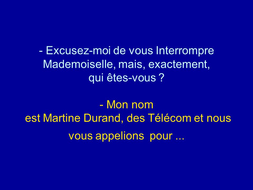 Excusez-moi de vous Interrompre Mademoiselle, mais, exactement, qui êtes-vous - Mon nom est Martine Durand, des Télécom et nous vous appelions pour ...