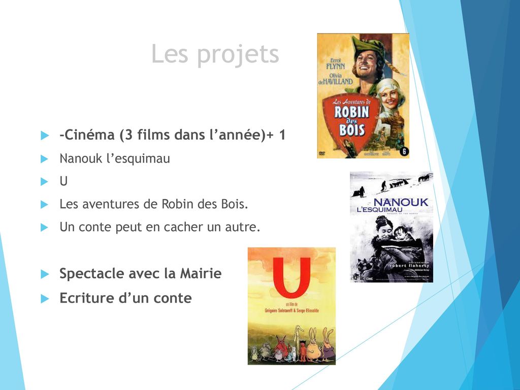 Les projets -Cinéma (3 films dans l’année)+ 1 Spectacle avec la Mairie