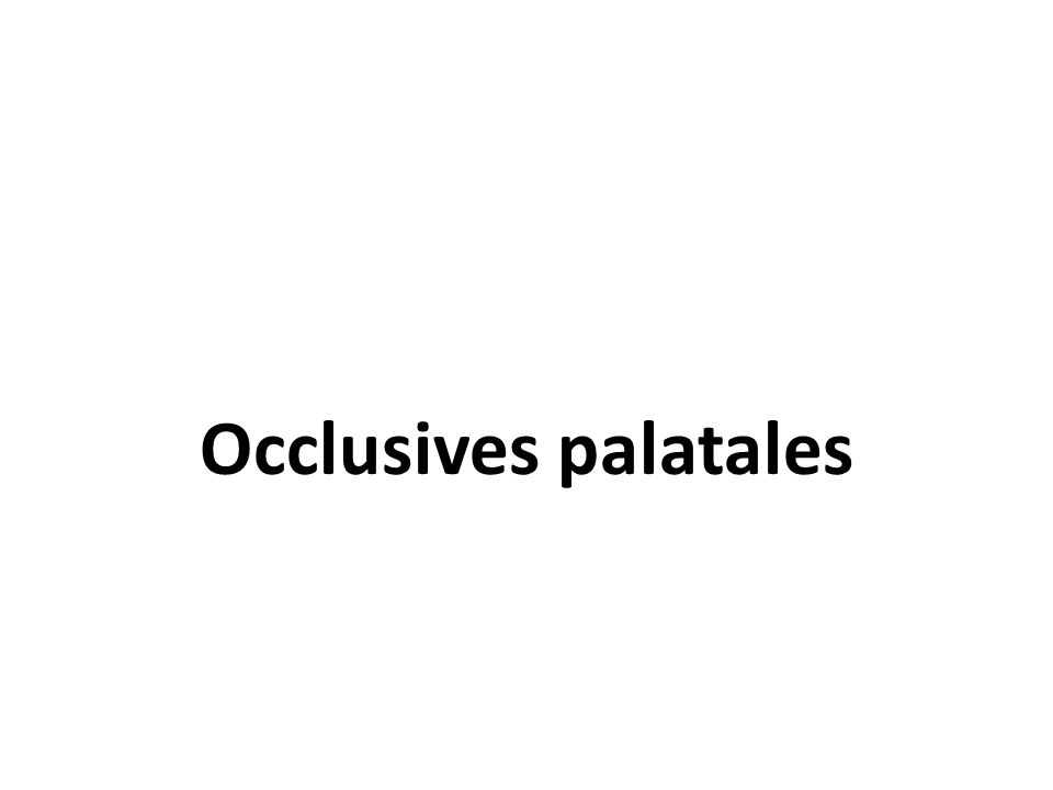 Occlusives palatales