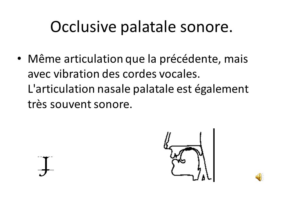 Occlusive palatale sonore.