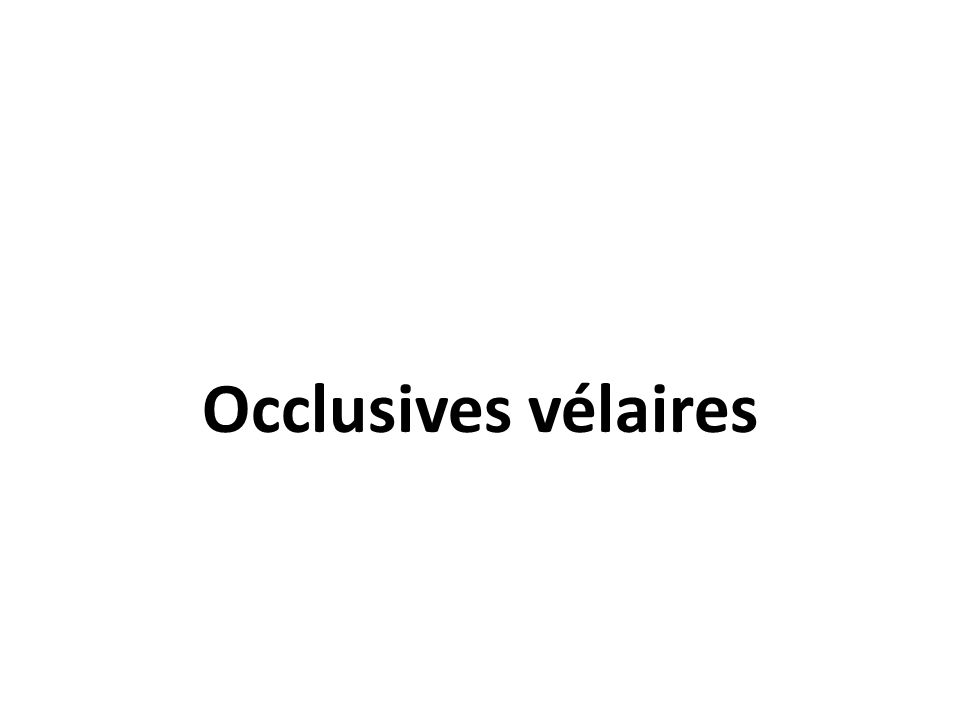 Occlusives vélaires