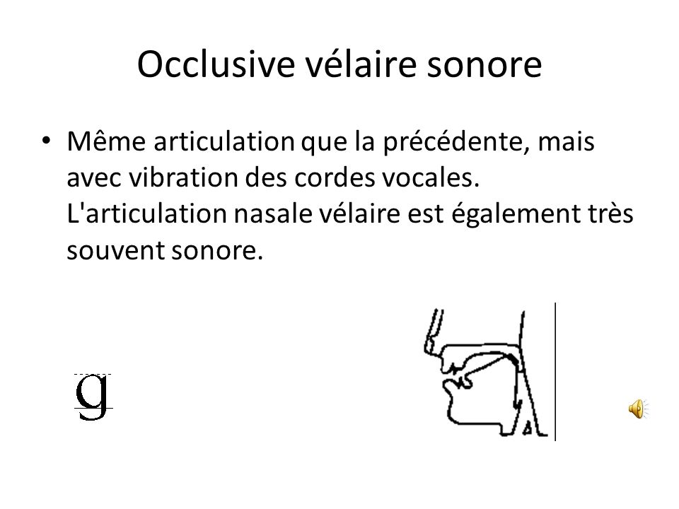 Occlusive vélaire sonore