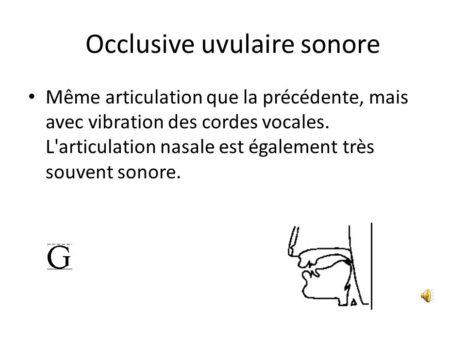 Occlusive uvulaire sonore