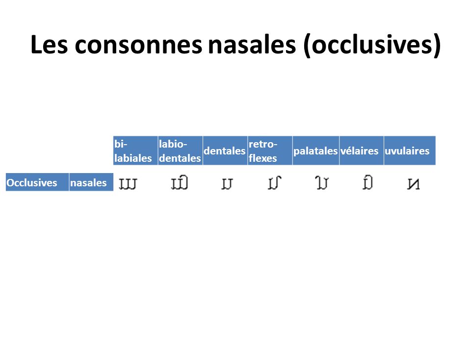 Les consonnes nasales (occlusives)