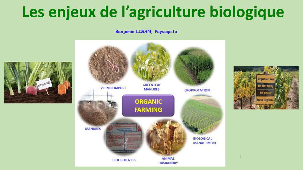 Les enjeux de l’agriculture biologique Benjamin LISAN, Paysagiste.