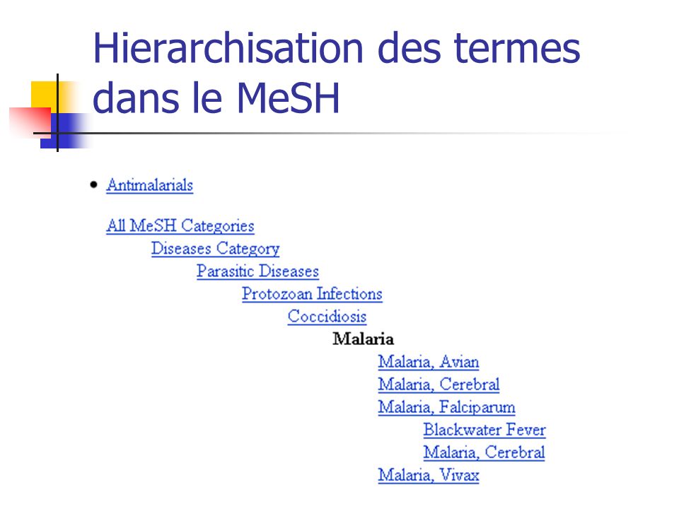 Hierarchisation des termes dans le MeSH