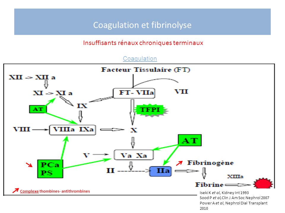 Coagulation et fibrinolyse