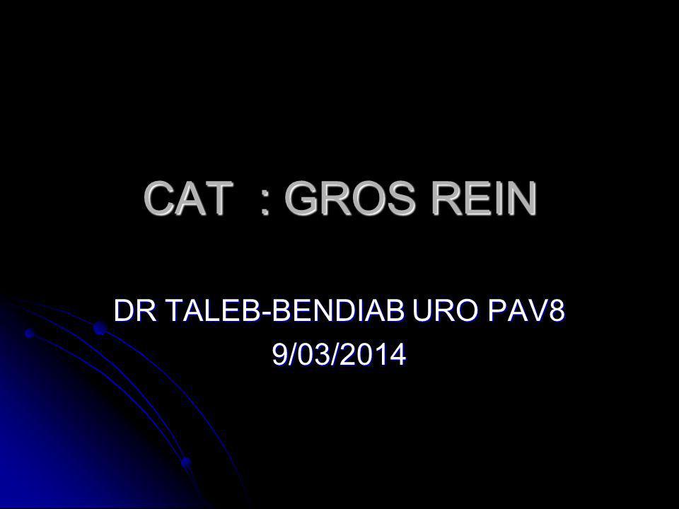 DR TALEB-BENDIAB URO PAV8 9/03/2014