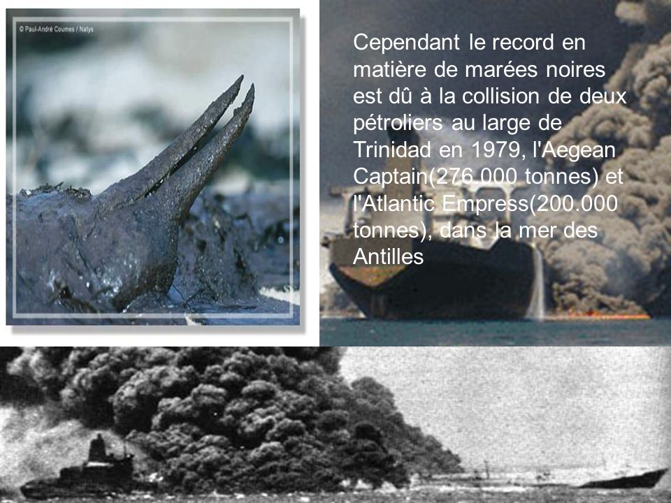Cependant le record en matière de marées noires est dû à la collision de deux pétroliers au large de Trinidad en 1979, l Aegean Captain( tonnes) et l Atlantic Empress( tonnes), dans la mer des Antilles