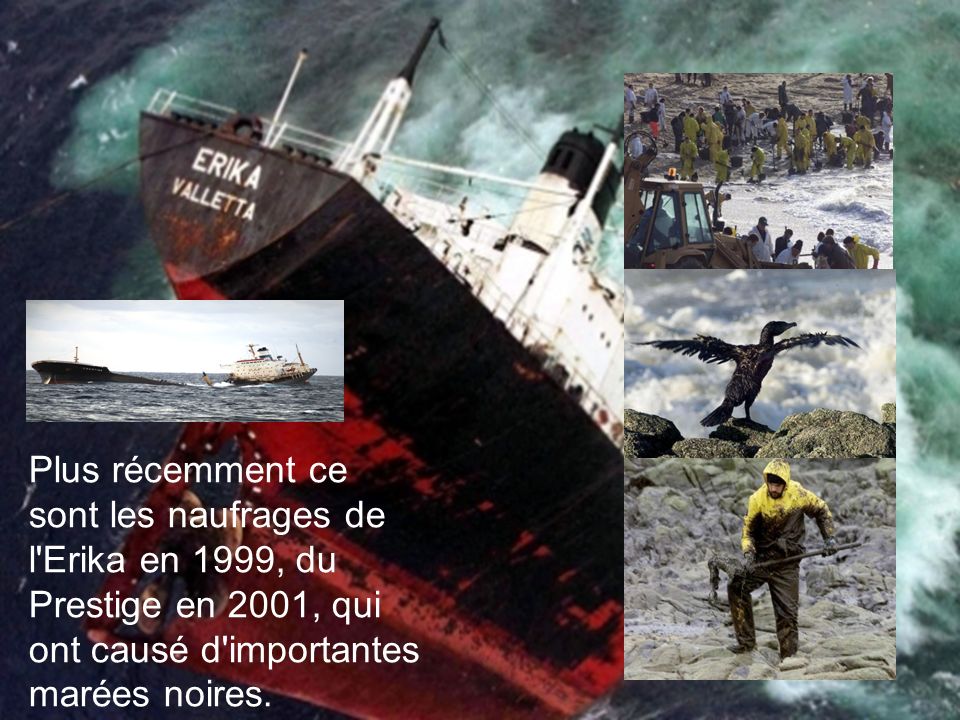 Plus récemment ce sont les naufrages de l Erika en 1999, du Prestige en 2001, qui ont causé d importantes marées noires.