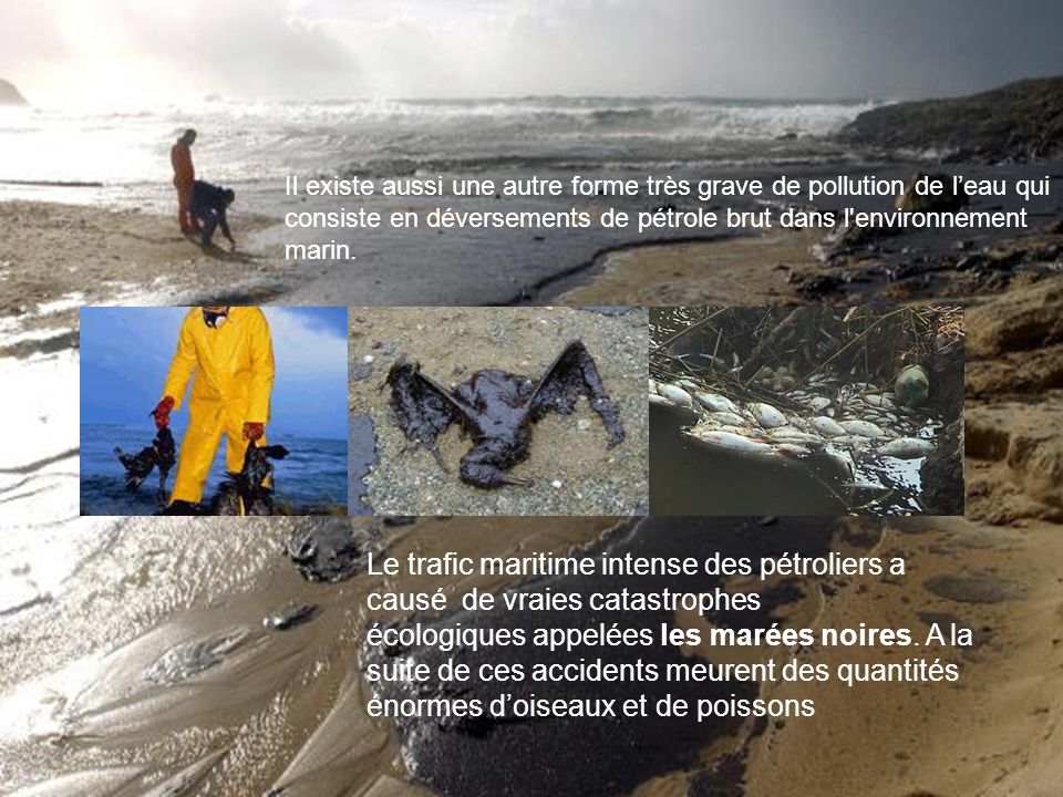 Il existe aussi une autre forme très grave de pollution de l’eau qui consiste en déversements de pétrole brut dans l environnement marin.