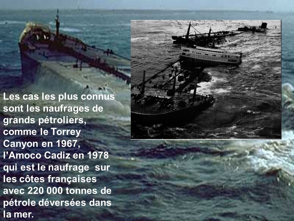 Les cas les plus connus sont les naufrages de grands pétroliers, comme le Torrey Canyon en 1967, l Amoco Cadiz en 1978 qui est le naufrage sur les côtes françaises avec tonnes de pétrole déversées dans la mer.