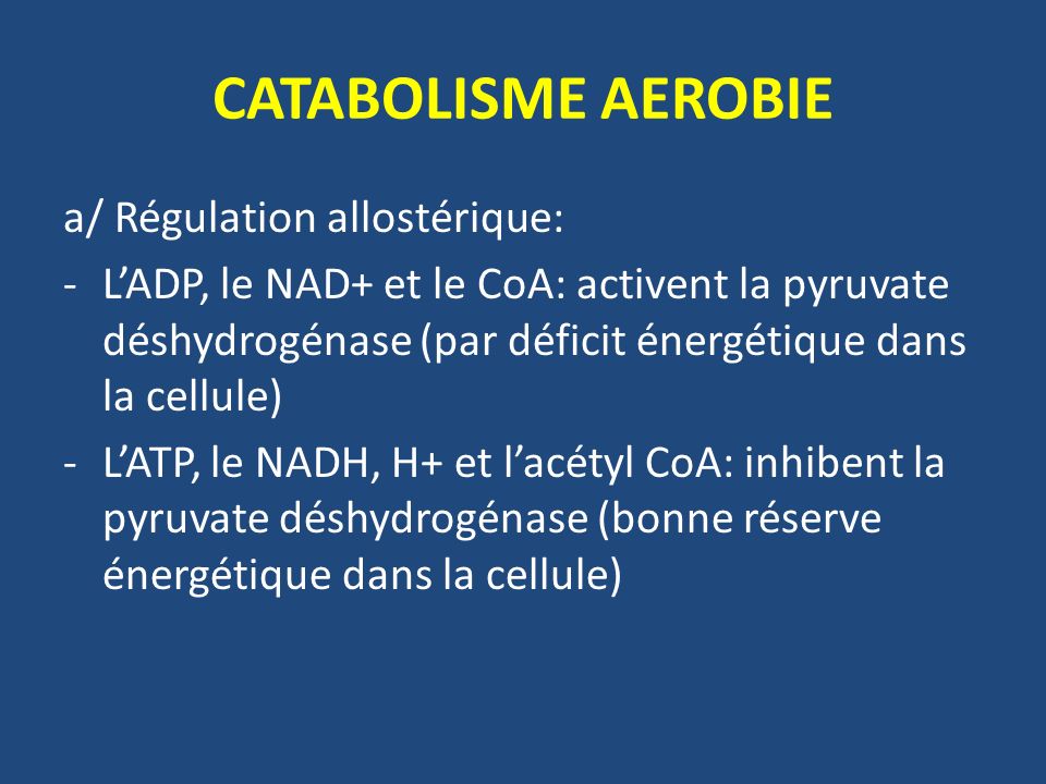 CATABOLISME AEROBIE a/ Régulation allostérique: