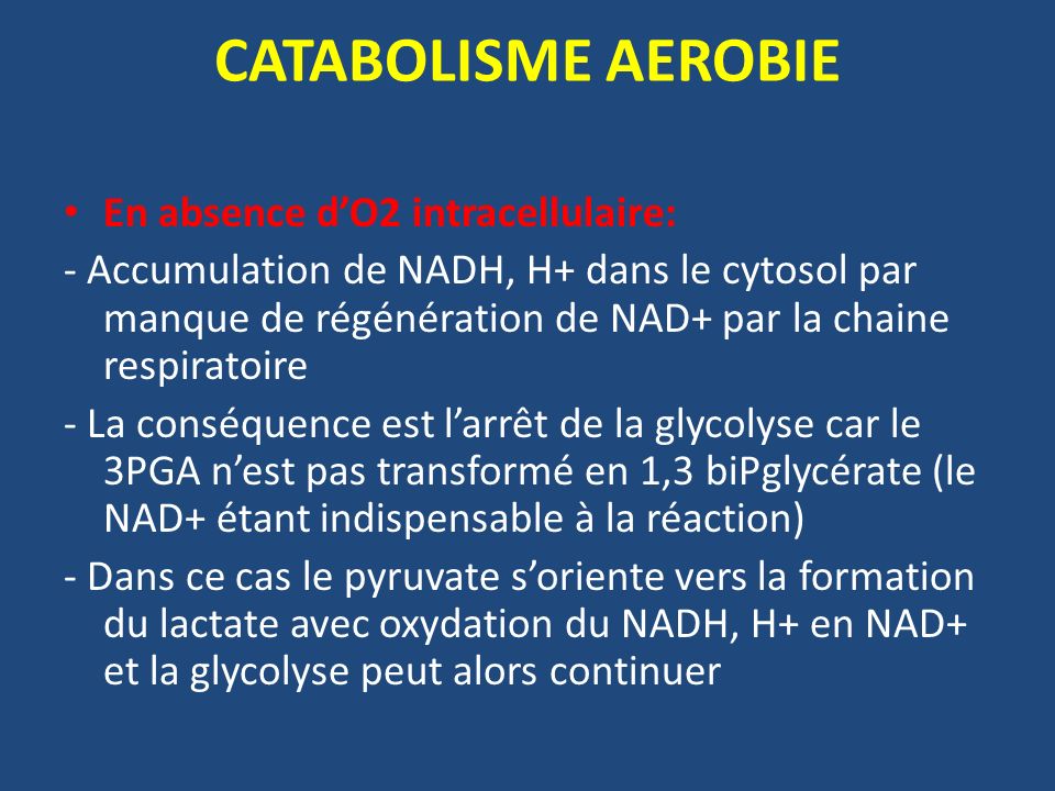CATABOLISME AEROBIE En absence d’O2 intracellulaire: