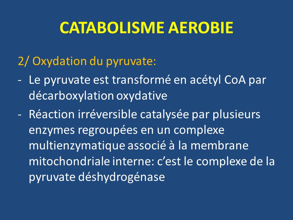 CATABOLISME AEROBIE 2/ Oxydation du pyruvate: