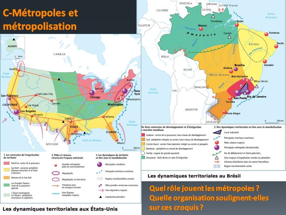 C-Métropoles et métropolisation