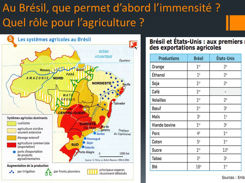 Au Brésil, que permet d’abord l’immensité Quel rôle pour l’agriculture