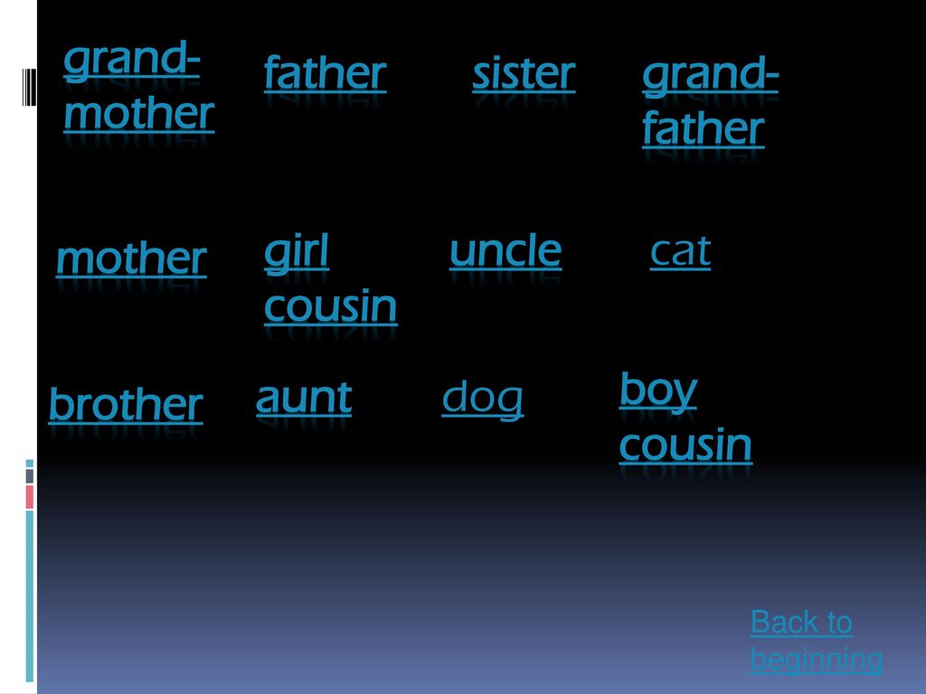 grand-mother father sister grand-father girl cousin uncle cat mother