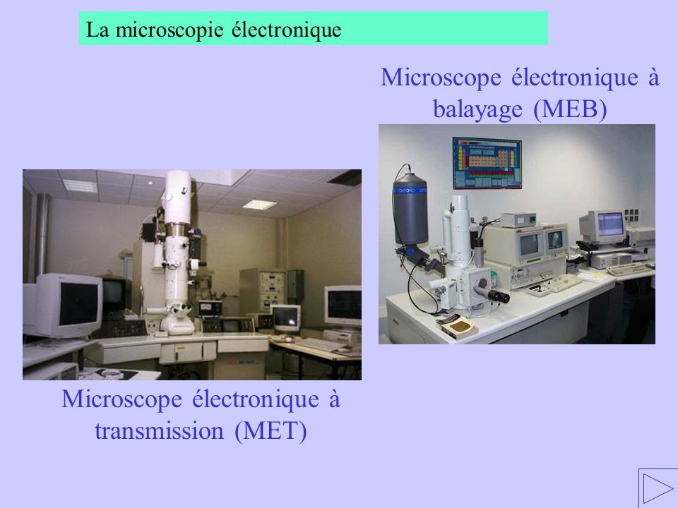 Microscope électronique à balayage (MEB)