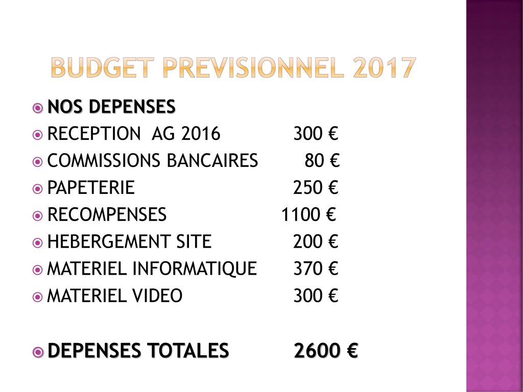 BUDGET PREVISIONNEL 2017 DEPENSES TOTALES 2600 € NOS DEPENSES