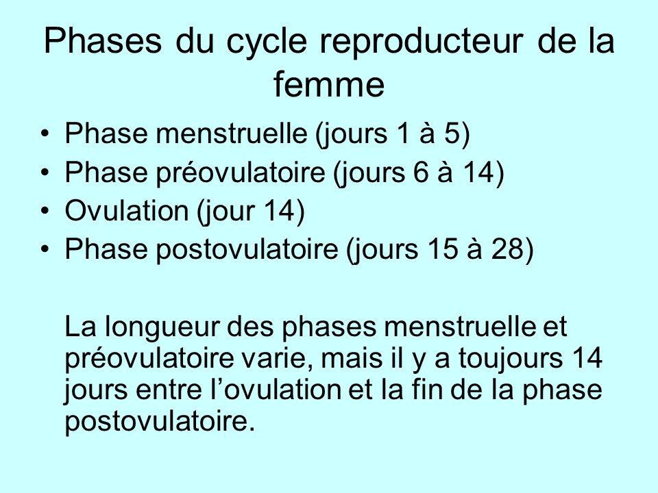 Phases du cycle reproducteur de la femme