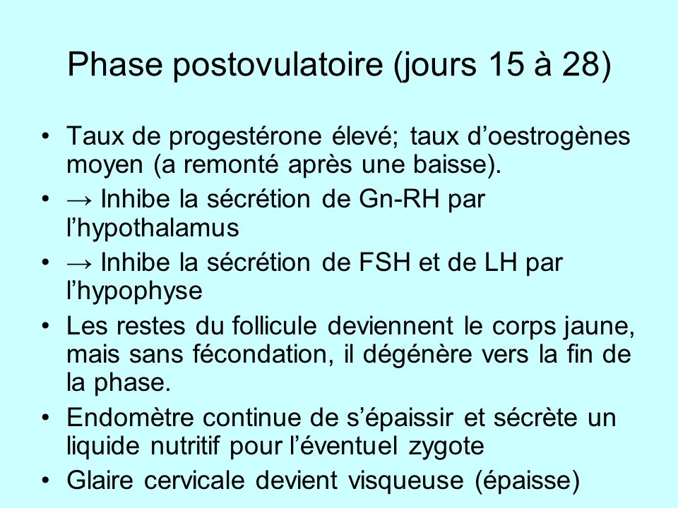 Phase postovulatoire (jours 15 à 28)