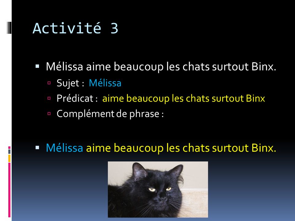 Activité 3 Mélissa aime beaucoup les chats surtout Binx.