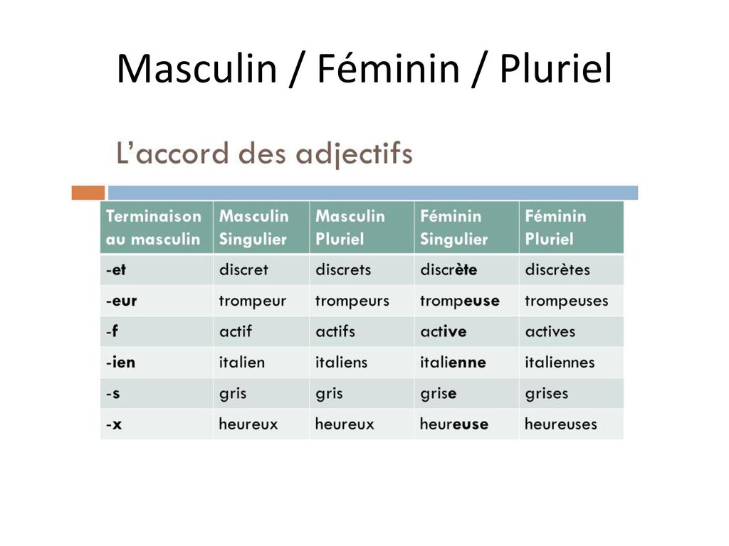 Masculin / Féminin / Pluriel