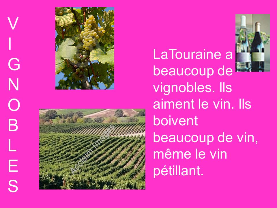 V I. G. N. O. B. L. E. S. LaTouraine a beaucoup de vignobles.