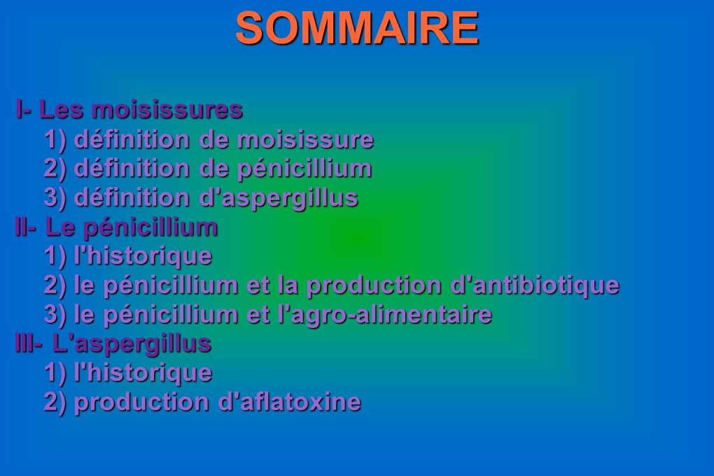 SOMMAIRE I- Les moisissures 1) définition de moisissure