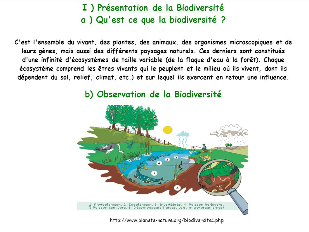 I ) Présentation de la Biodiversité a ) Qu est ce que la biodiversité