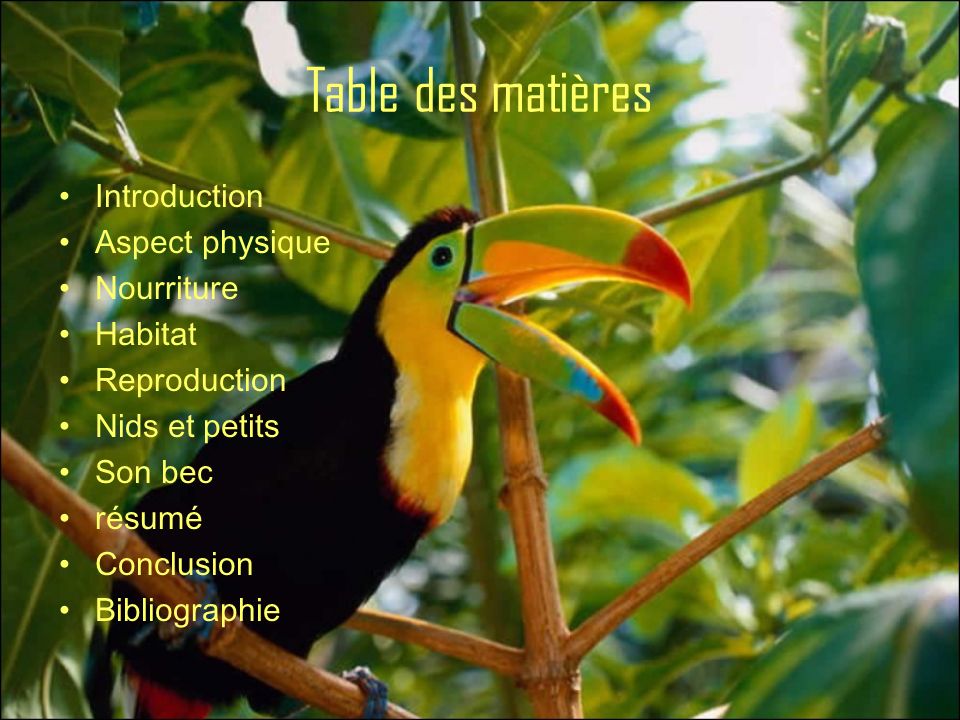 Table des matières Introduction Aspect physique Nourriture Habitat