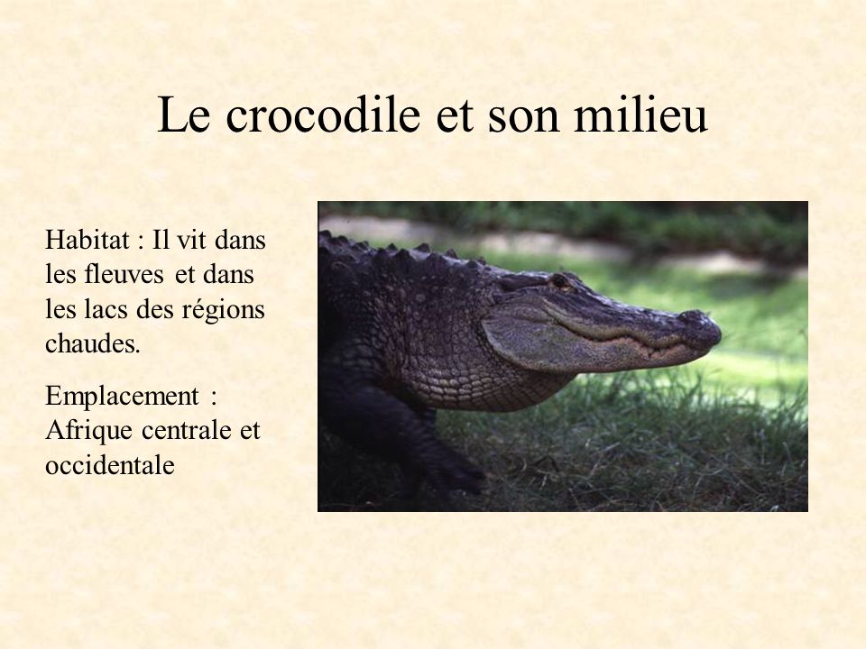 Le crocodile et son milieu