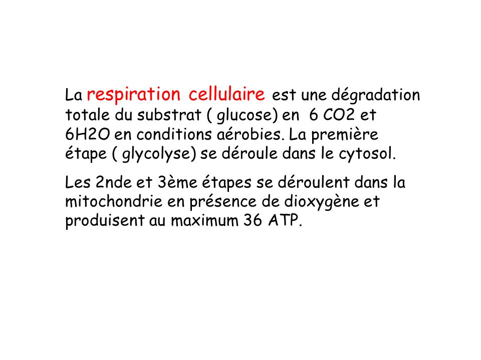 La respiration cellulaire est une dégradation totale du substrat ( glucose) en 6 CO2 et 6H2O en conditions aérobies. La première étape ( glycolyse) se déroule dans le cytosol.