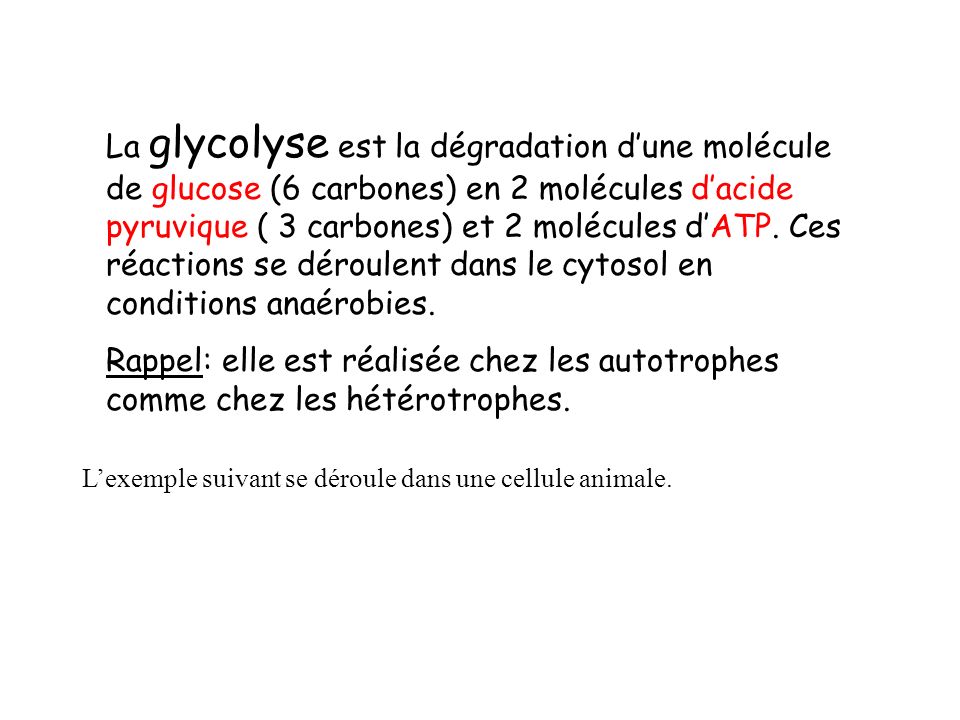 La glycolyse est la dégradation d’une molécule de glucose (6 carbones) en 2 molécules d’acide pyruvique ( 3 carbones) et 2 molécules d’ATP. Ces réactions se déroulent dans le cytosol en conditions anaérobies.