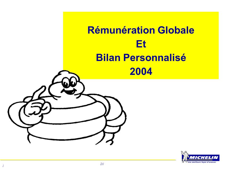 Rémunération Globale Et Bilan Personnalisé 2004