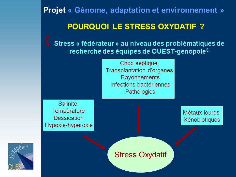 POURQUOI LE STRESS OXYDATIF
