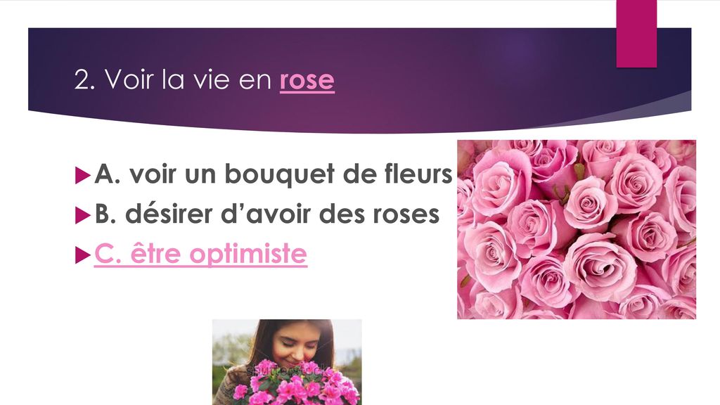 2. Voir la vie en rose A. voir un bouquet de fleurs B. désirer d’avoir des roses C. être optimiste