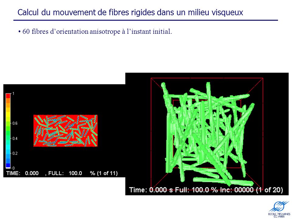 Calcul du mouvement de fibres rigides dans un milieu visqueux