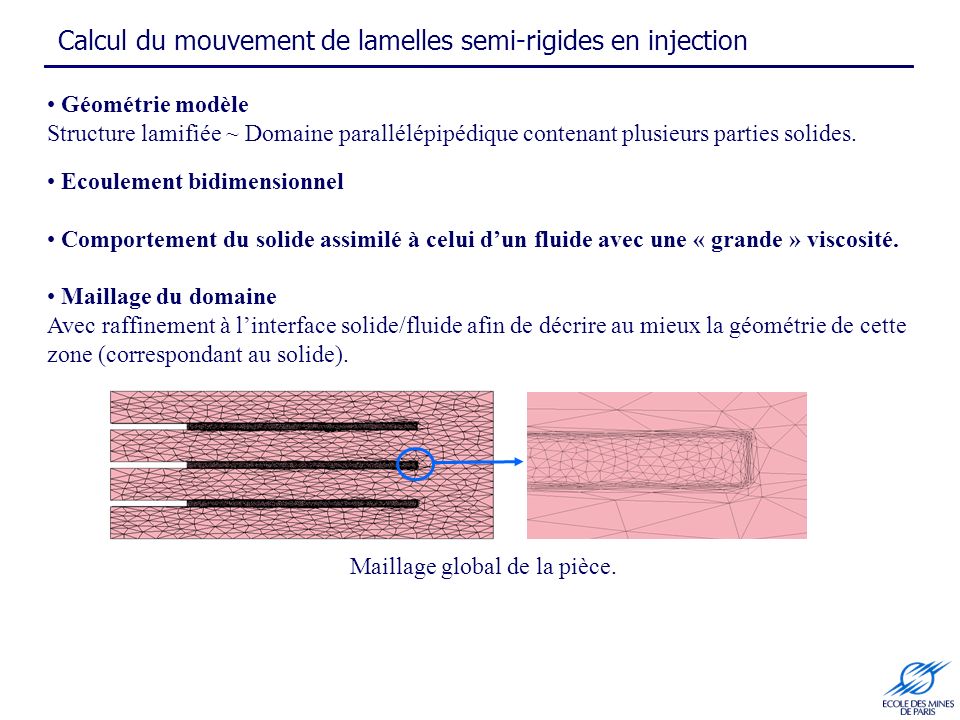 Calcul du mouvement de lamelles semi-rigides en injection