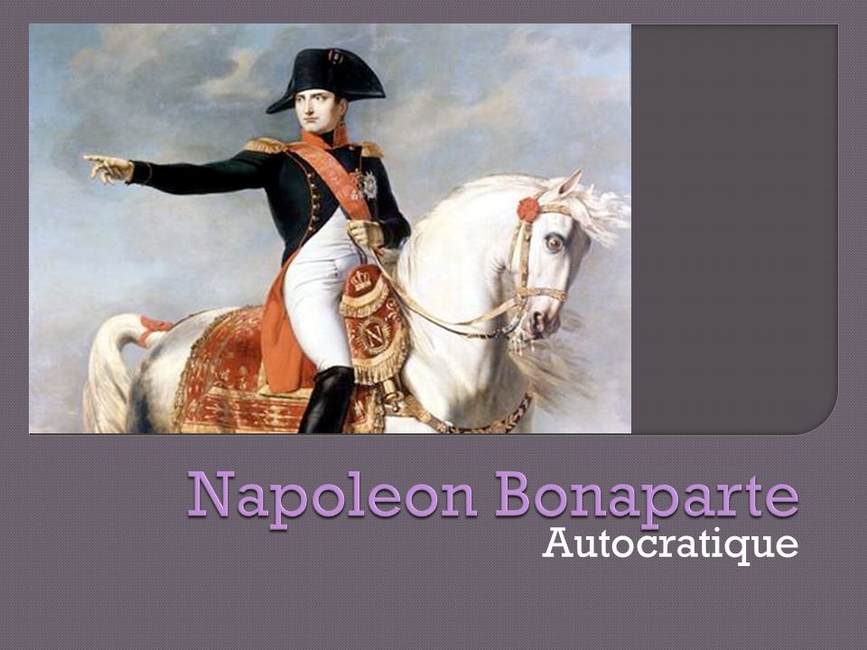 Napoleon Bonaparte Autocratique