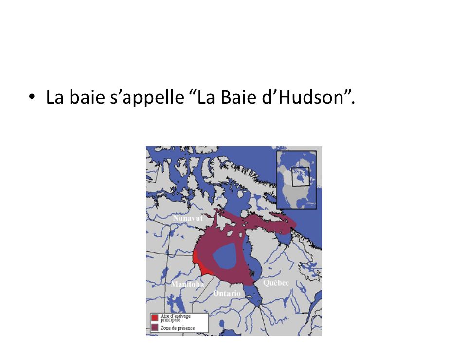La baie s’appelle La Baie d’Hudson .