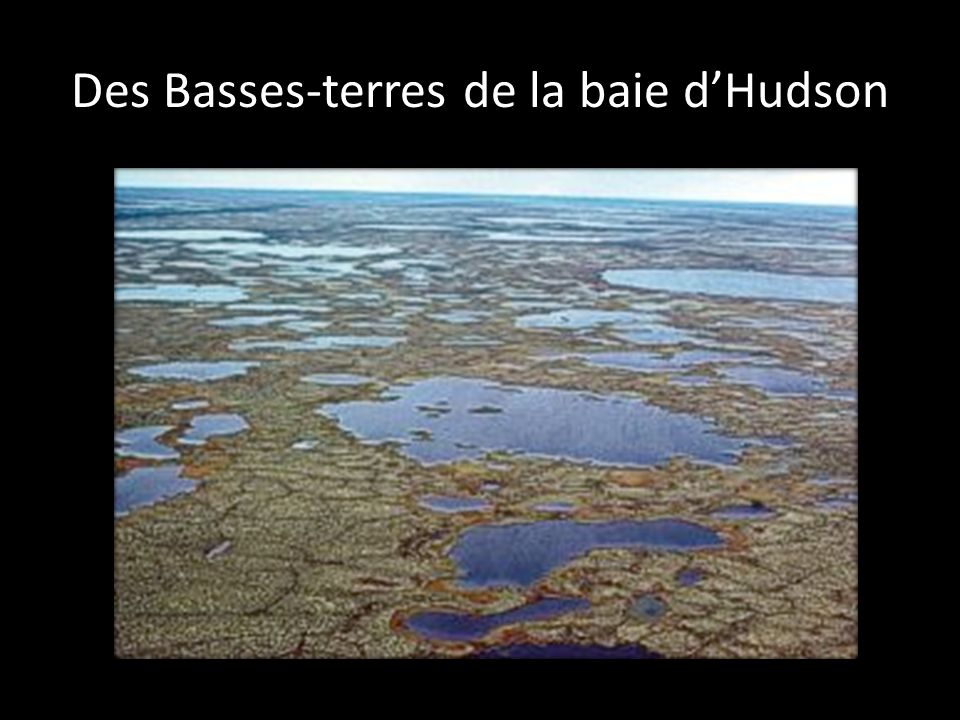 Des Basses-terres de la baie d’Hudson