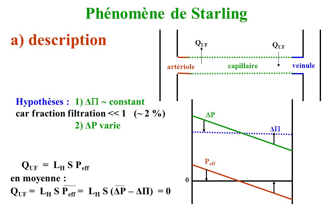 Phénomène de Starling a) description Hypothèses : 1) Δ  constant