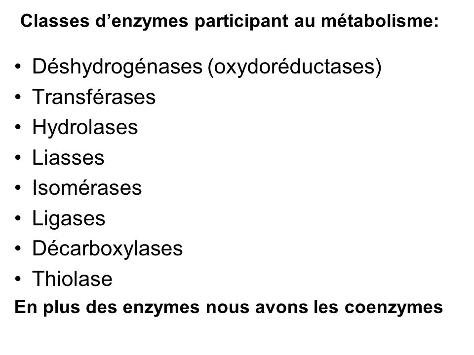 Classes d’enzymes participant au métabolisme: