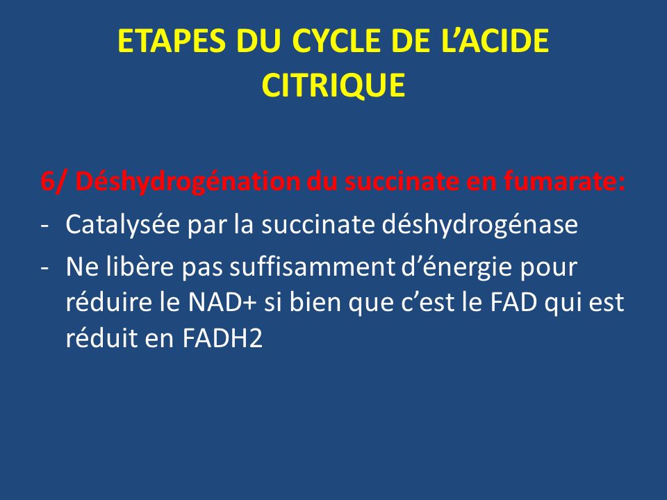 ETAPES DU CYCLE DE L’ACIDE CITRIQUE