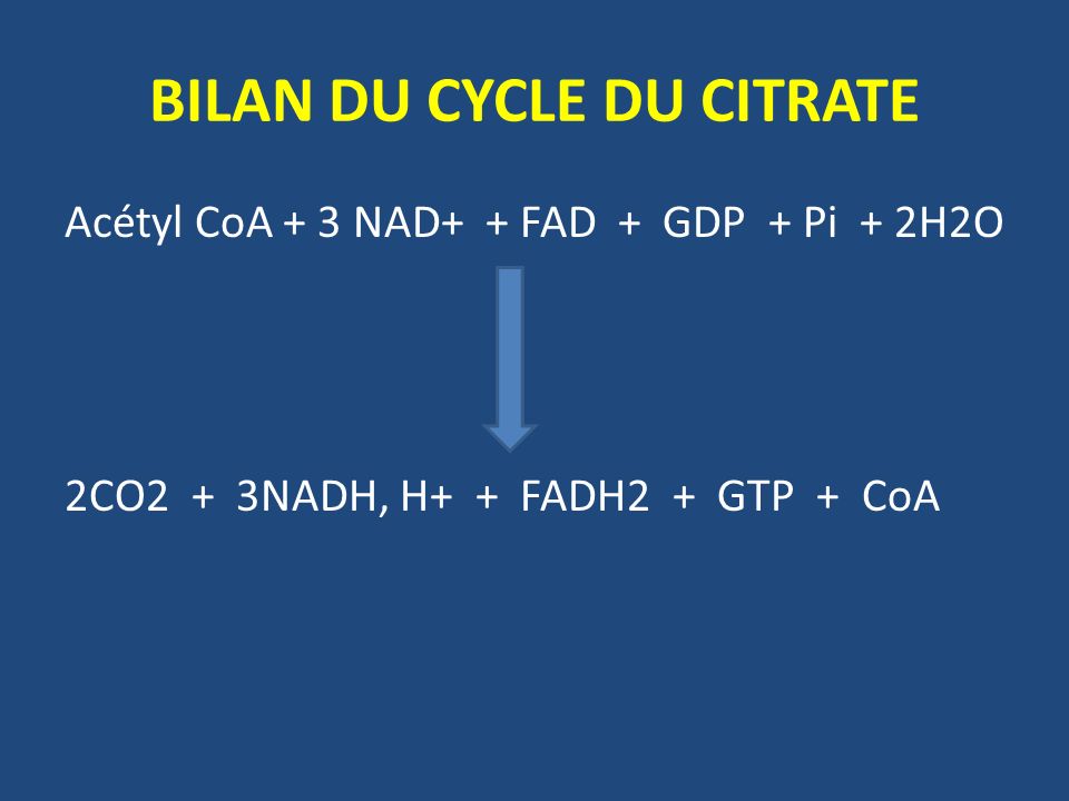 BILAN DU CYCLE DU CITRATE
